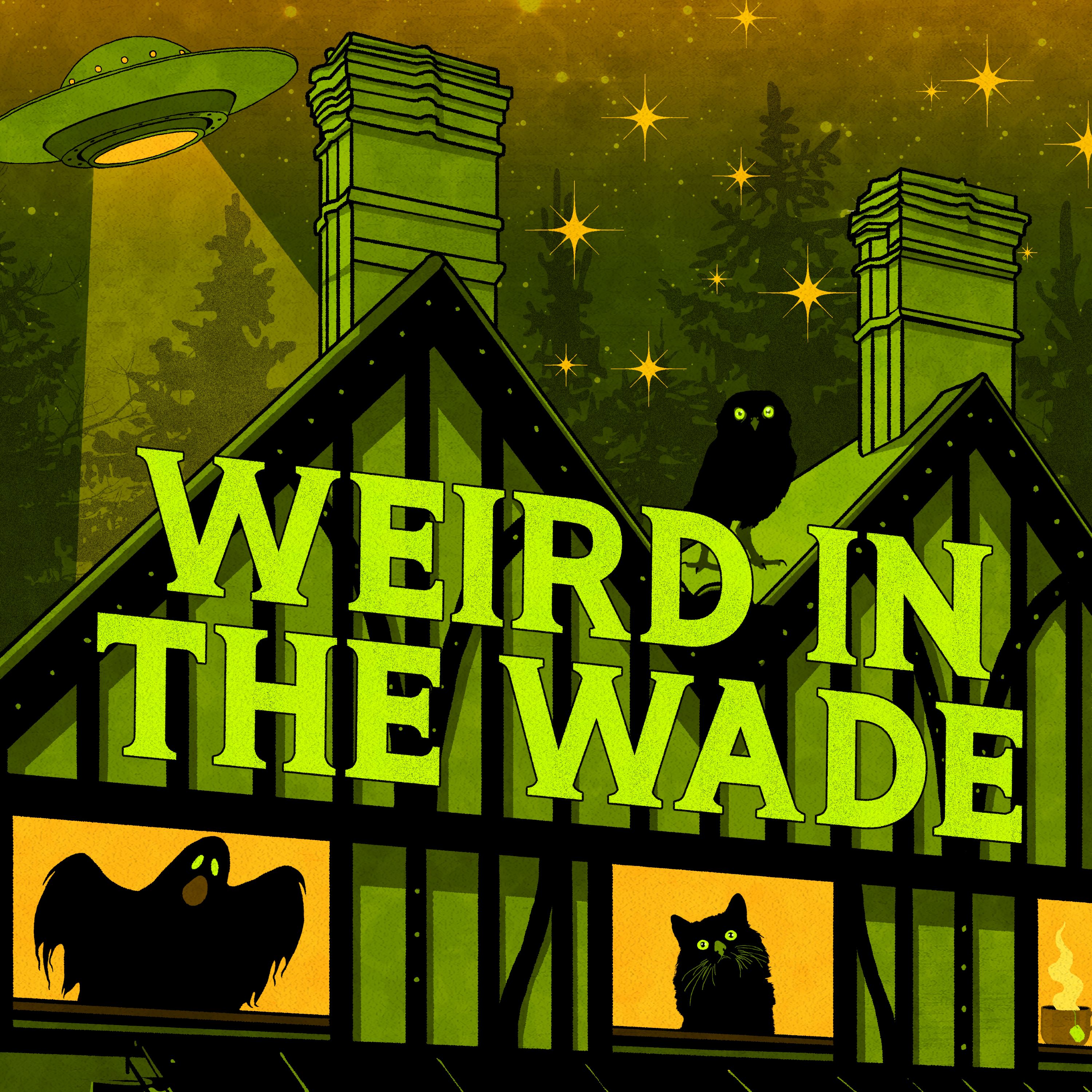 Weird in the Wade logo